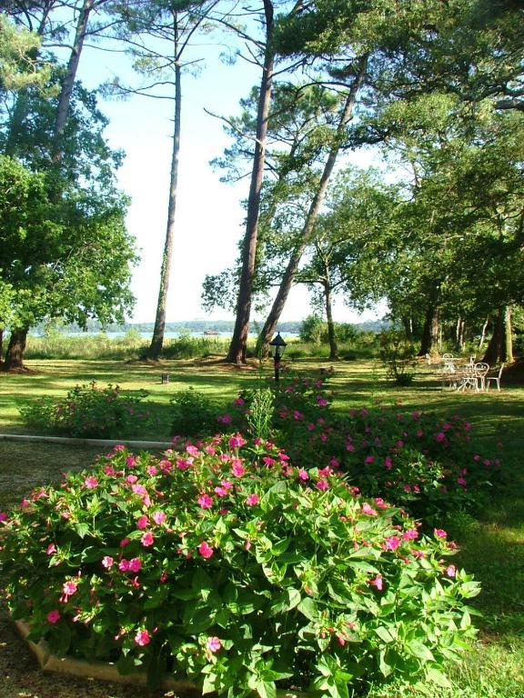 Villa De L'Etang Blanc Seignosse Exterior foto