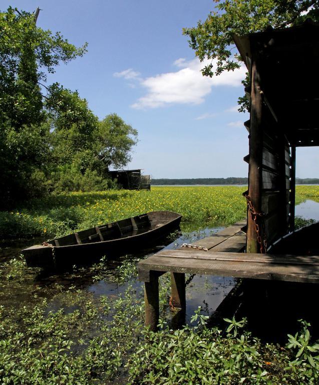 Villa De L'Etang Blanc Seignosse Exterior foto